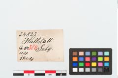 Etiketten zu Bronzebrillenfibel (NHMW-PRAE-024825)